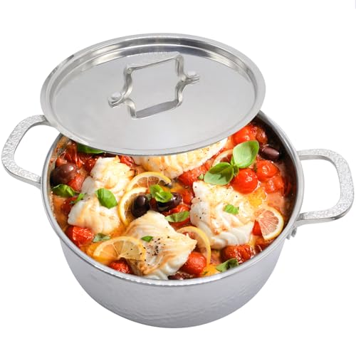 Vivicreate Tri-Ply Stainless Steel Stockpot Deep Cooking Pot with Hammered Exterior Compatible with All Stovetops Even Heat Distribution Durable Cookware for Soups Stews and More 3 QT