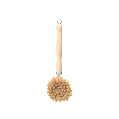 HIC Kitchen Natural Bristle Veggie and Dish Scrub Brush, Non-Scratch ...