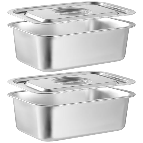 CODOHI 2 PACK 4 Inch Extra Deep Lasagna Baking Pan with Lid, 8.7x12.6Inch 304 Stainless Steel Large Baking Dish Tray for Oven, Thick Metal Roasting Pan for Casserole Brownie Turkey (Silver, M)
