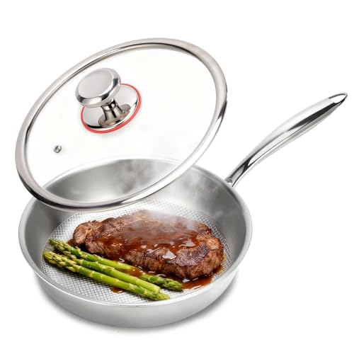 Ptacivow 9.45 Inch Titanium Pans for Cooking,99.6% Titanium Frying Pan Healthy Non-Toxic Titanium Cookware with Lid for Even Heating, Induction Compatible Oven & Broiler Safe