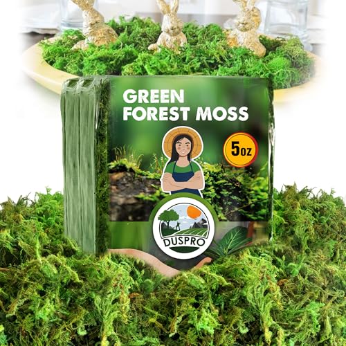 [Upgraded] DUSPRO Green Moss for Crafts, Real Forest Moss Potted ...